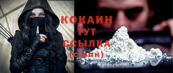 гидра Козельск