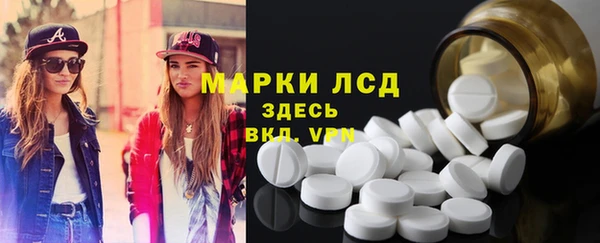 сатива Заволжье