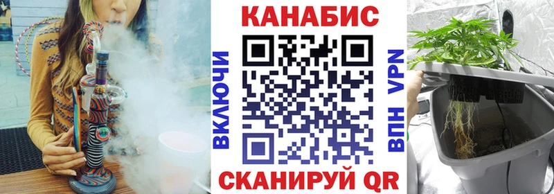 Каннабис конопля  Любим 